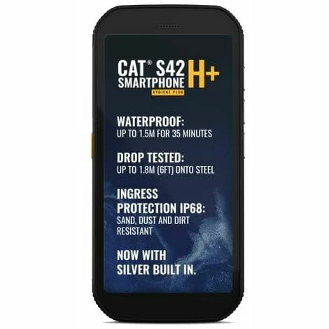 CATERPILLAR CAT S42 H+ 14 Cm (5.5`) Double SIM Hybride Android 10.0 4G Micro-USB 3 Go 32 Go 4200 MAh Noir